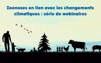 Zoonoses et climat : l’INSPQ lance une série de webinaires pour les professionnel·le·s de la santé