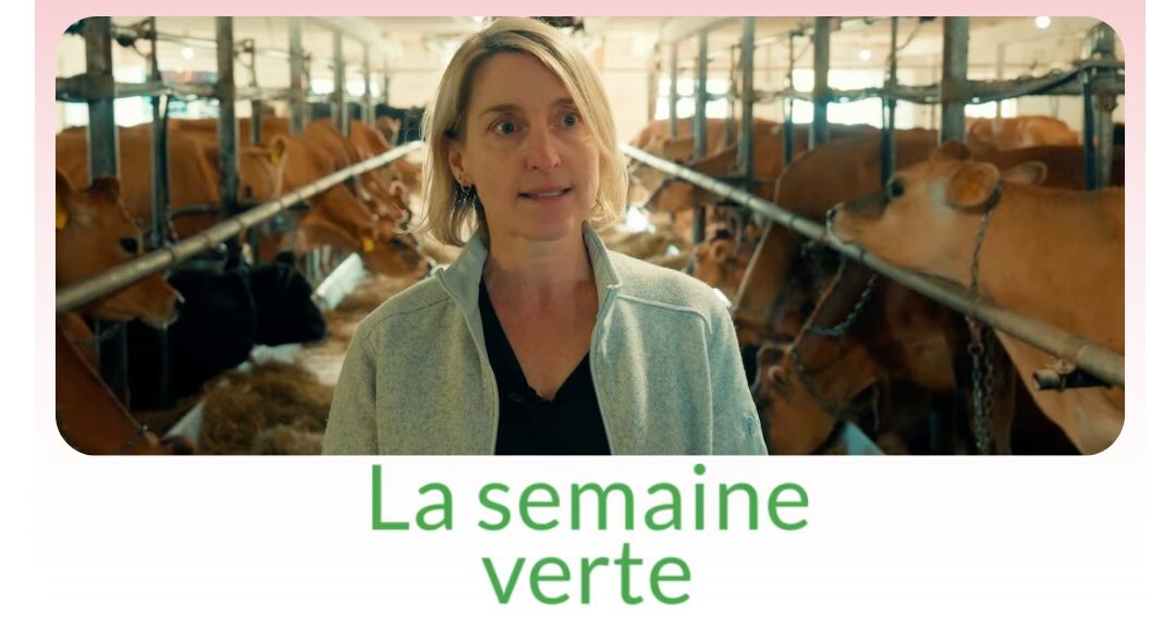 La Semaine verte consacre un reportage à la grippe aviaire et à la mobilisation des agriculteurs québécois