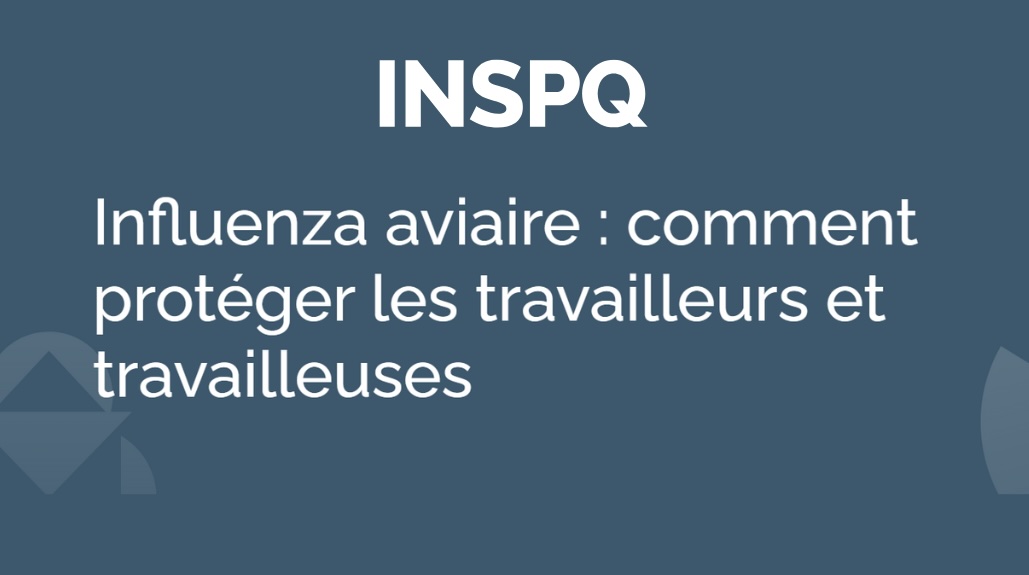 Influenza aviaire : comment protéger les travailleurs et travailleuses