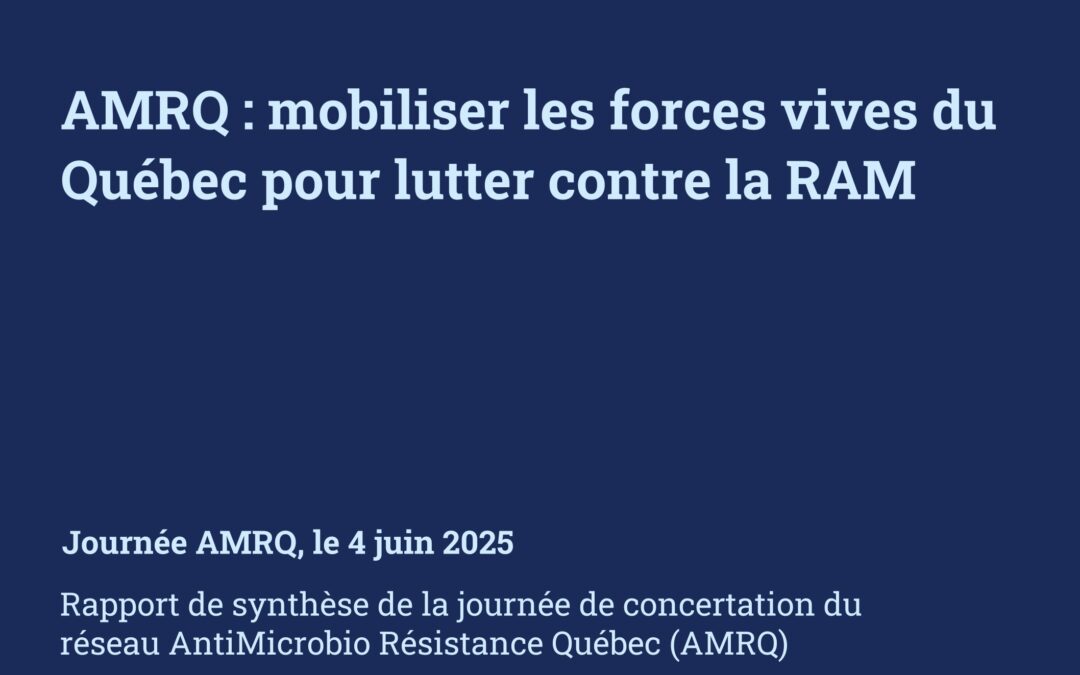 Publication du rapport de synthèse – Journée de concertation AMRQ 2025