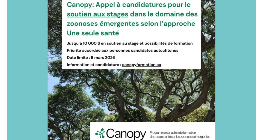 Appel de Canopy – Soutien aux stages, maintenant ouvert ! 