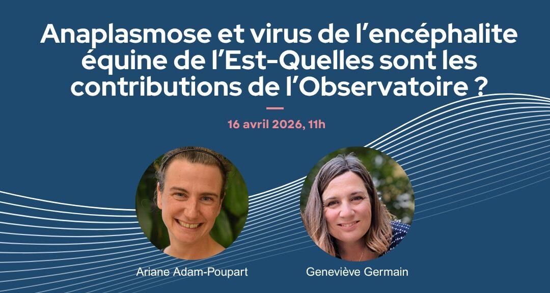 Webinaire | Anaplasmose et virus de l’encéphalite équine de l’Est-Quelles sont les contributions de l’Observatoire? 