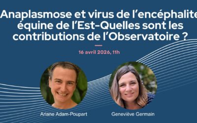 Webinaire | Anaplasmose et virus de l’encéphalite équine de l’Est-Quelles sont les contributions de l’Observatoire? 