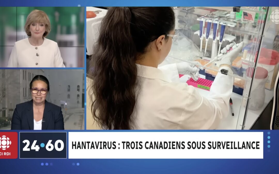 Hantavirus : faut-il s’inquiéter d’un risque d’éclosion au Québec? 