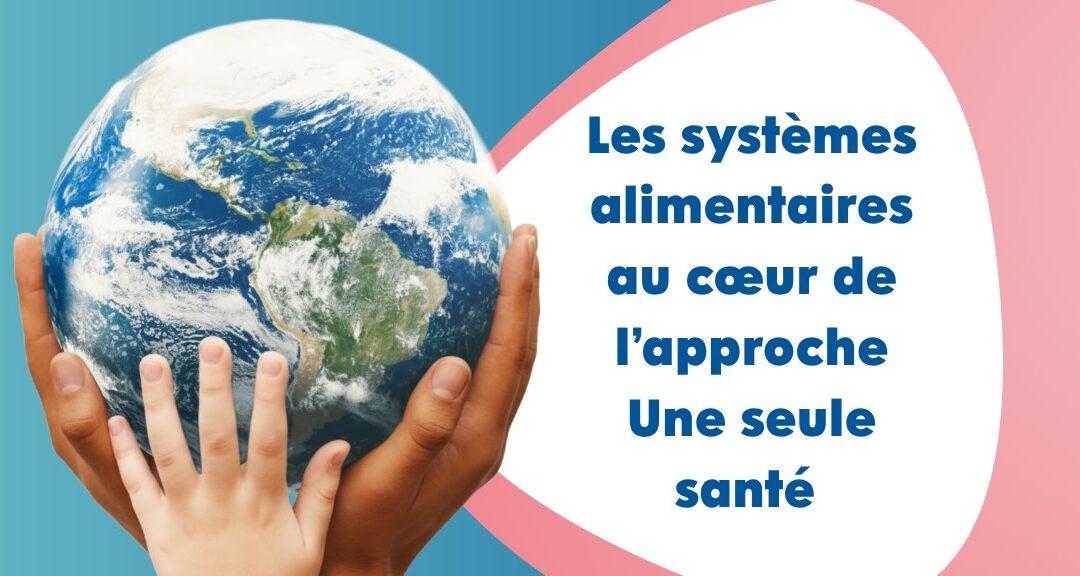 Les systèmes alimentaires au cœur de l’approche Une seule santé 