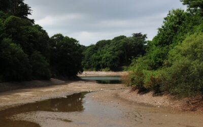 Le Réseau Précrisa face à l’enjeu du manque d’eau 