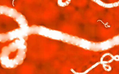 L’ASPC recrute des spécialistes de la maladie Ebola pour sa Liste d’experts