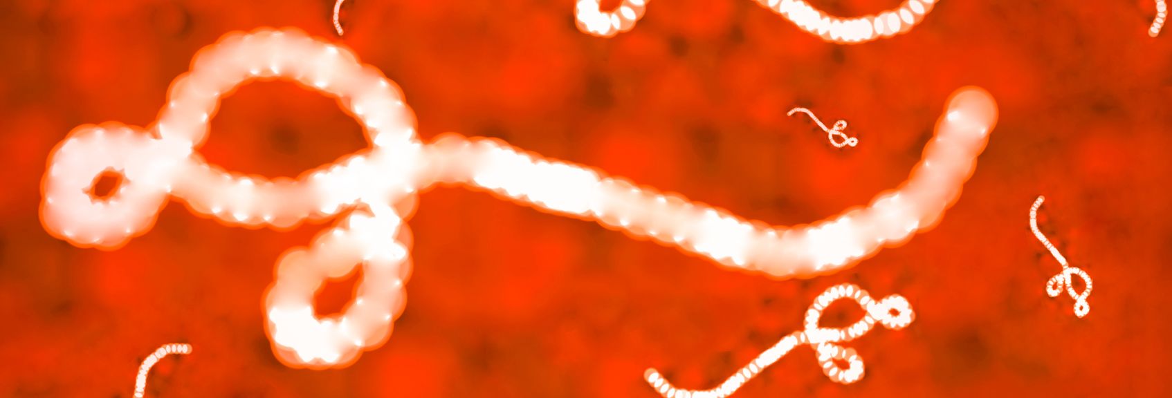 L’ASPC recrute des spécialistes de la maladie Ebola pour sa Liste d’experts