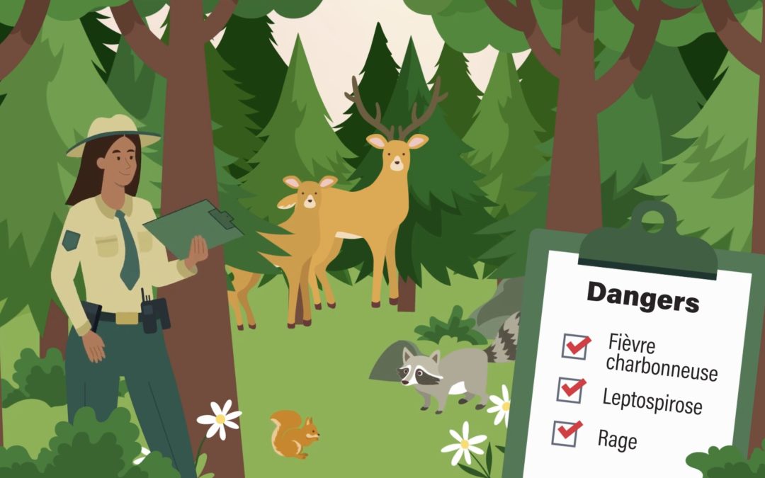 Des ressources pour les personnes travaillant avec des animaux 